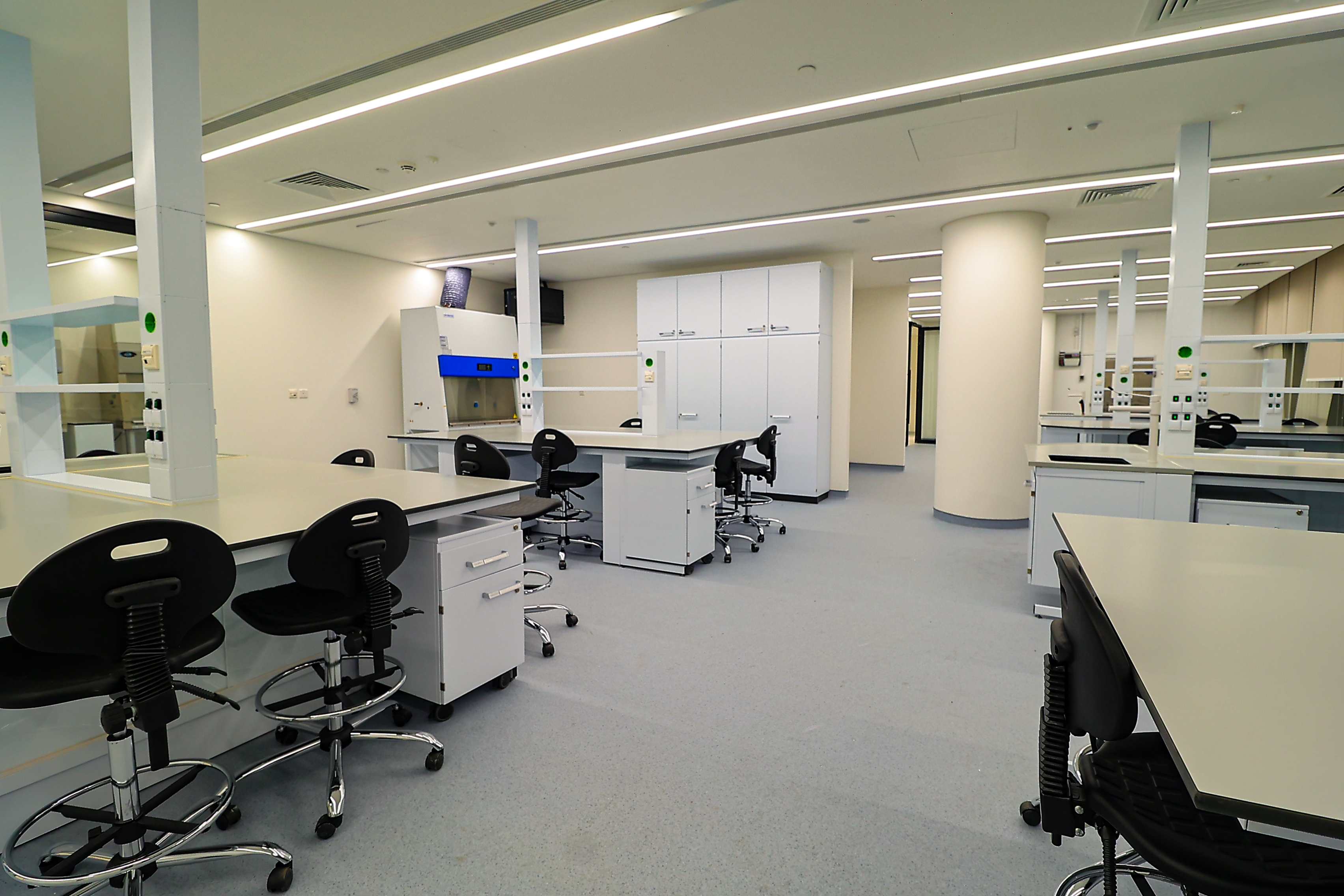 Microbial Sciences & Protein Engineering Research Lab (Lab 09)